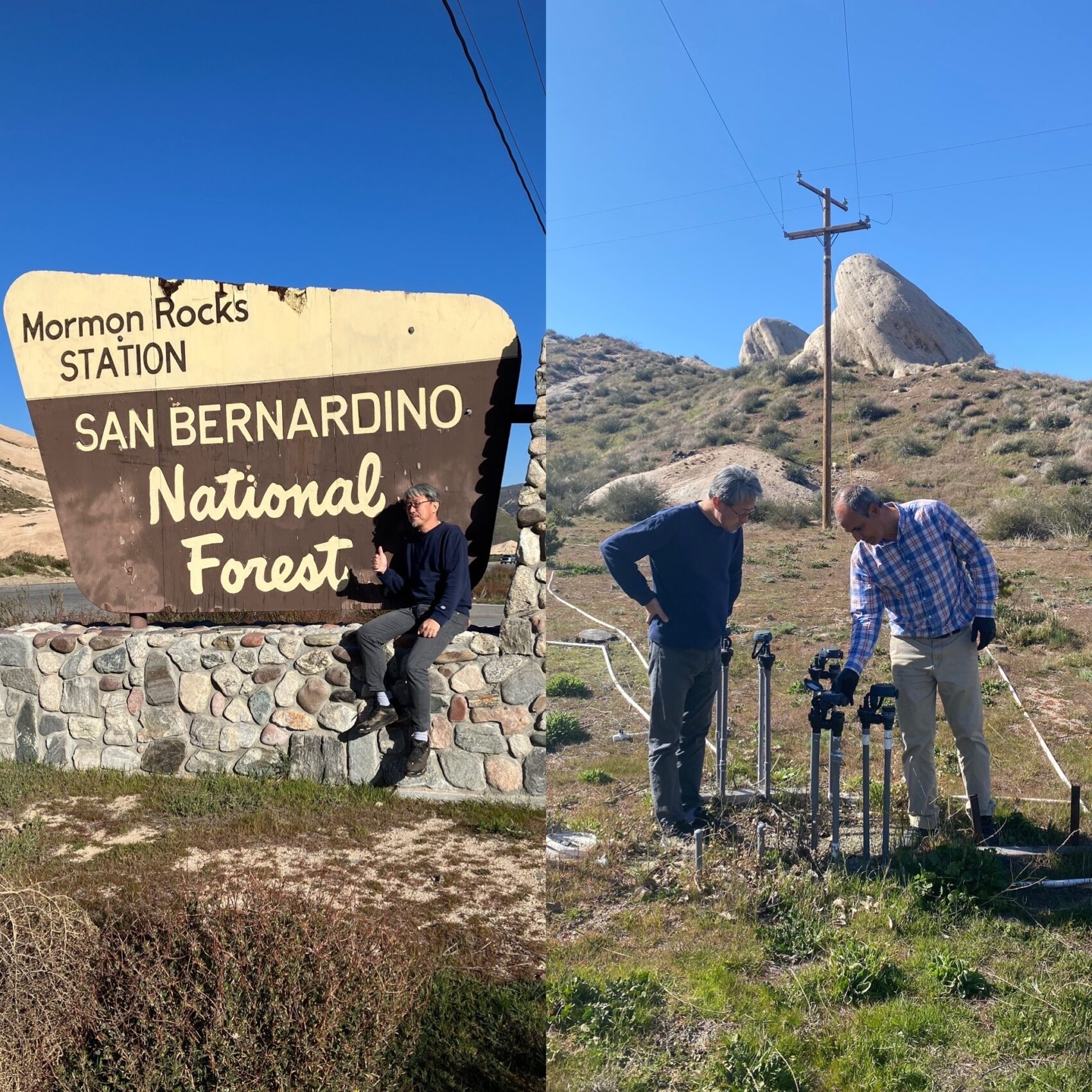 アメリカ森林局と、森林回復の取り組みを開始 アクプランタ株式会社