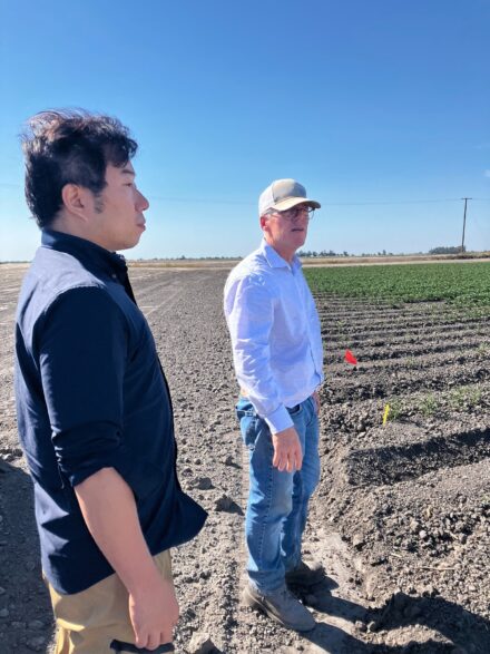 トマト生産で世界トップクラスの生産を誇るカリフォルニア州は、トマト栽培の栽培の最先端の地でもあります